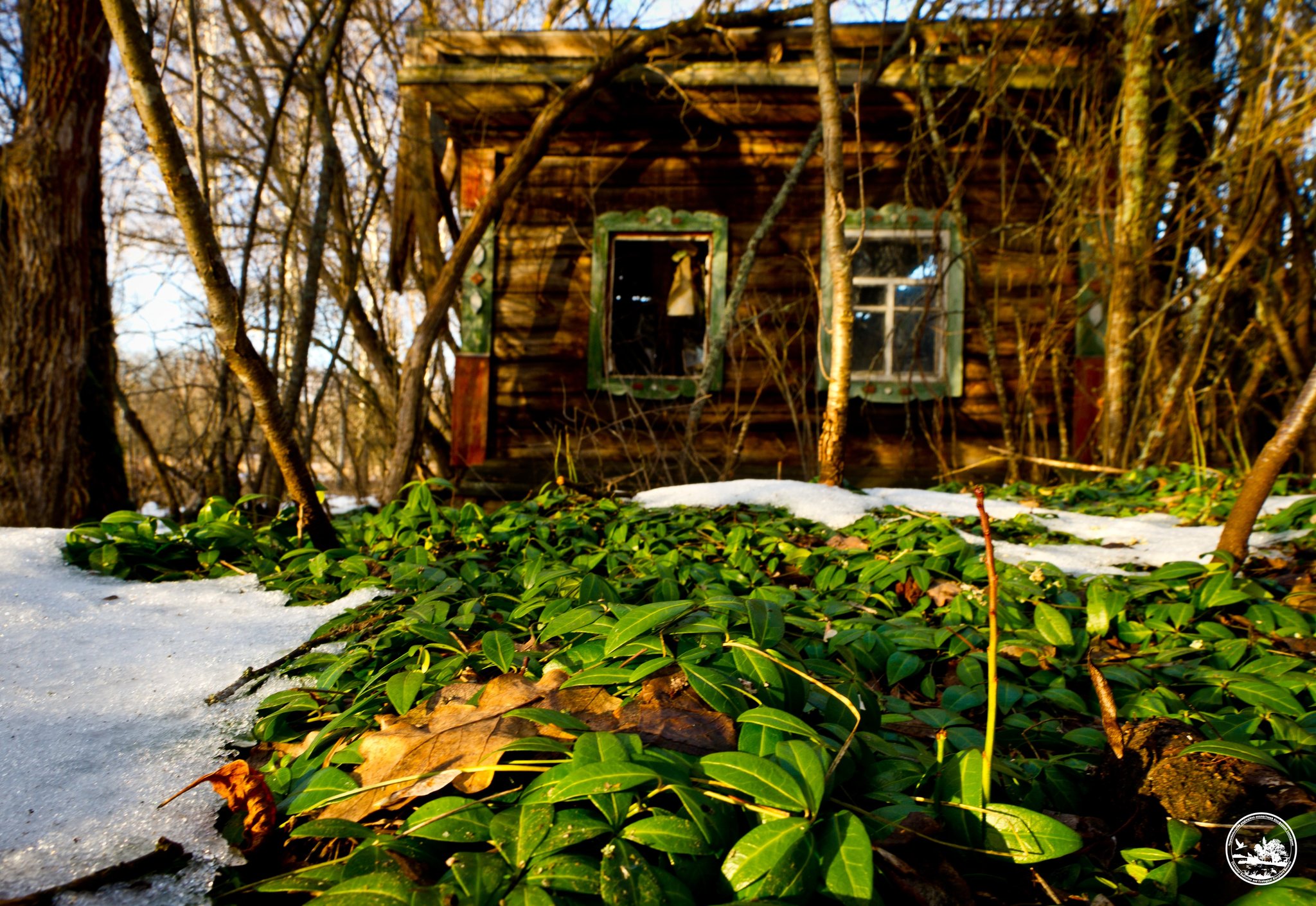 Оттепель в зоне ЧАЭС, фото 1