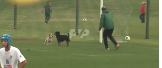 матч Украина-Италия между глухих спортсменов