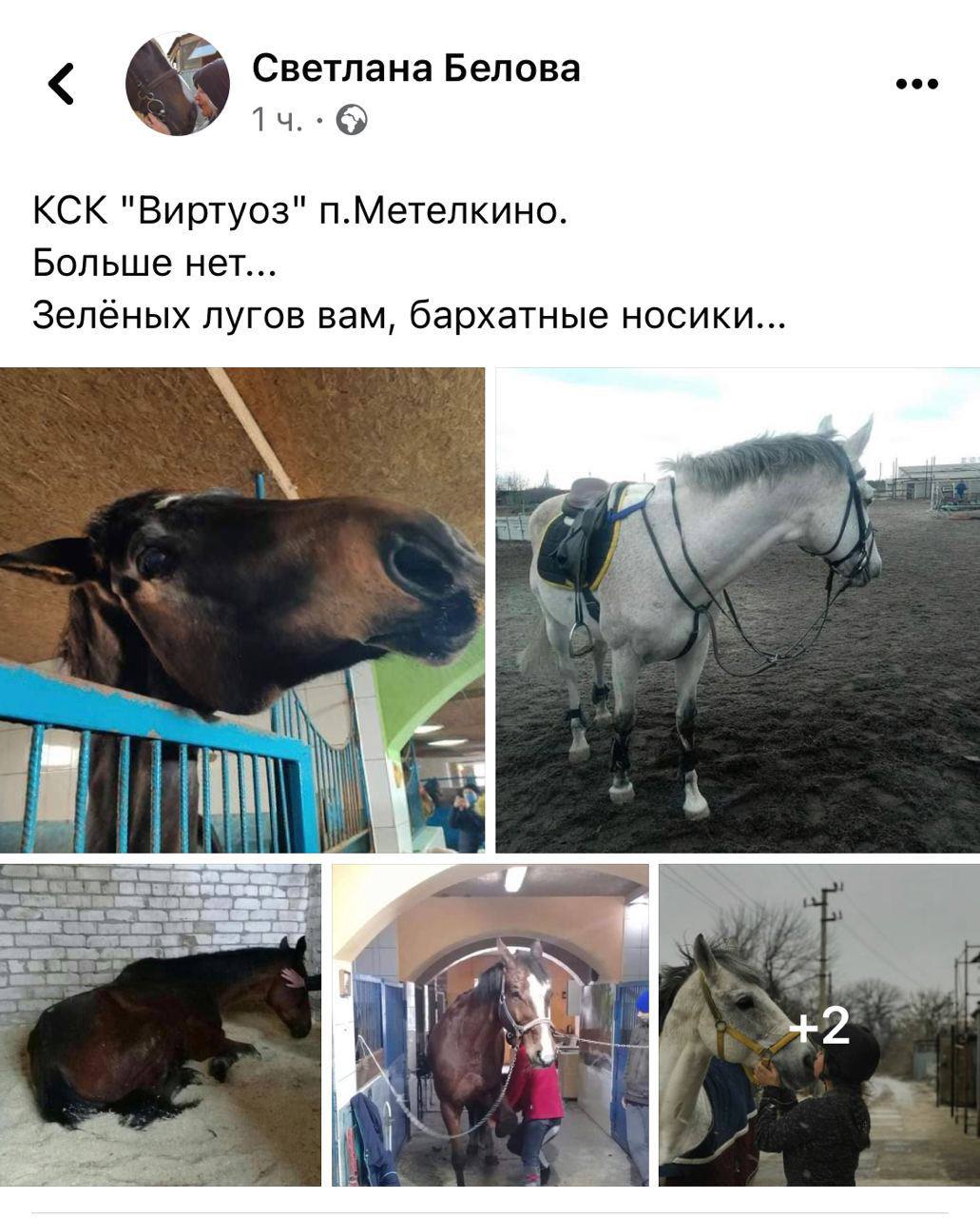 В Метелкино погибли все лошади конного клуба