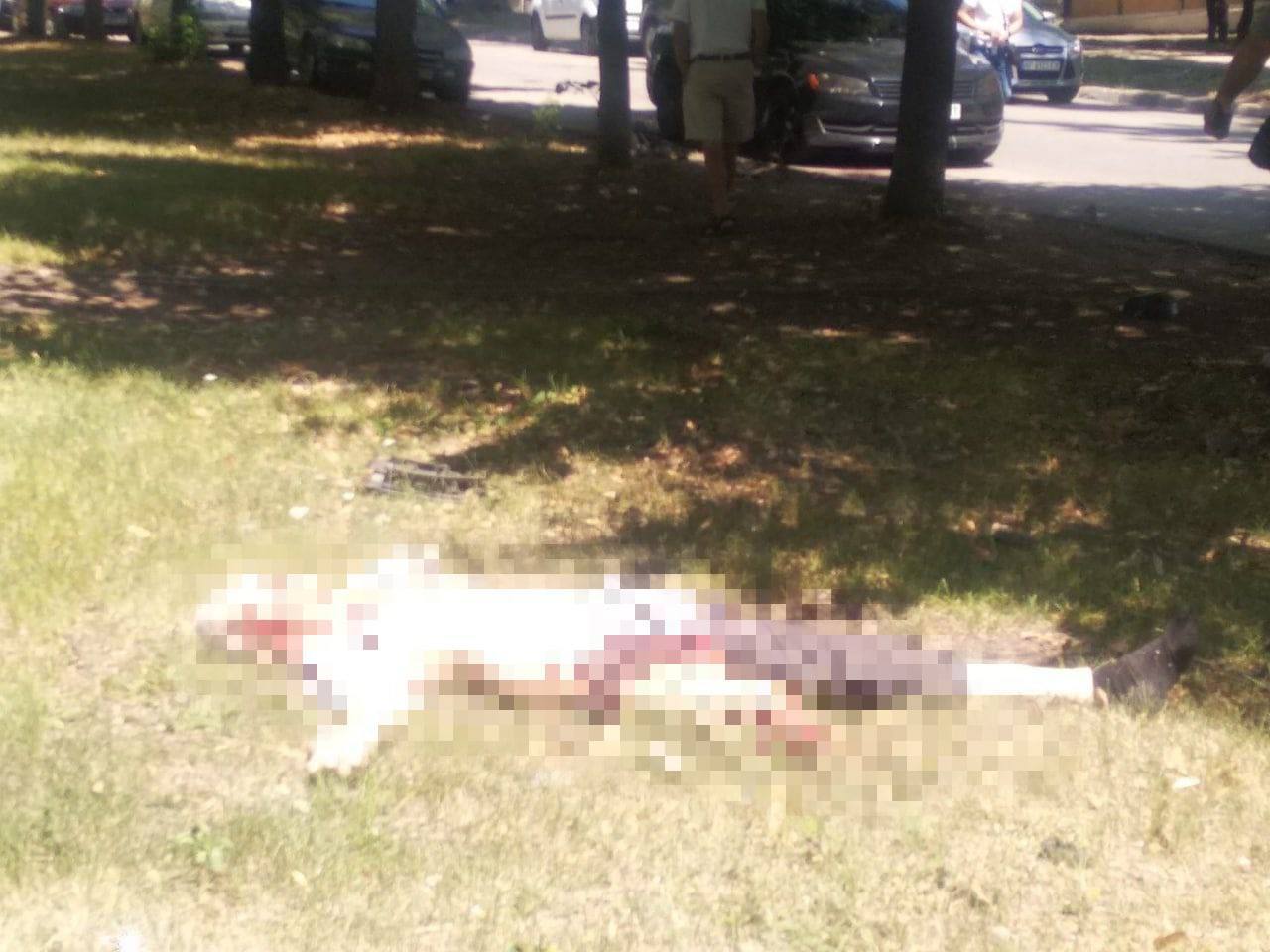 Фото жуткого ДТП в Запорожье