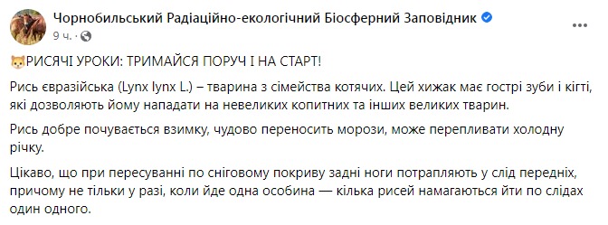 Скриншот из Фейсбука Чернобыльского заповедника 