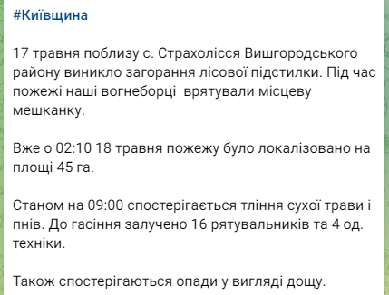 Минувшей ночью загорелся Чернобыльский лес