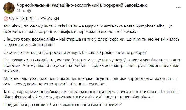 Скриншот из Фейсбука Чернобыльского заповедника