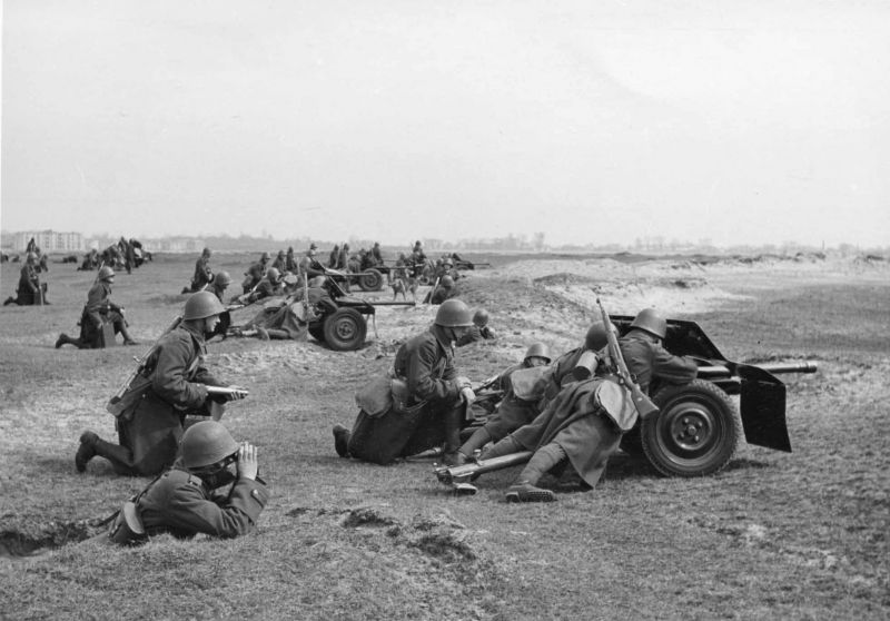 Польские артиллеристы на позиции у противотанковых пушек wz.36. wz.36 — польское обозначение шведской 37-мм противотанковой пушки Бофорс