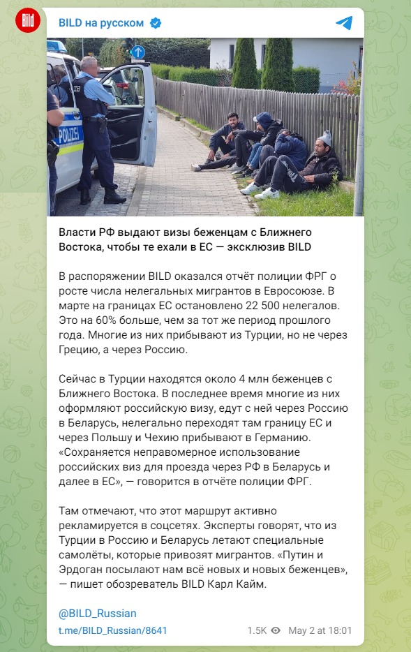 Скриншот из Телеграм Bild