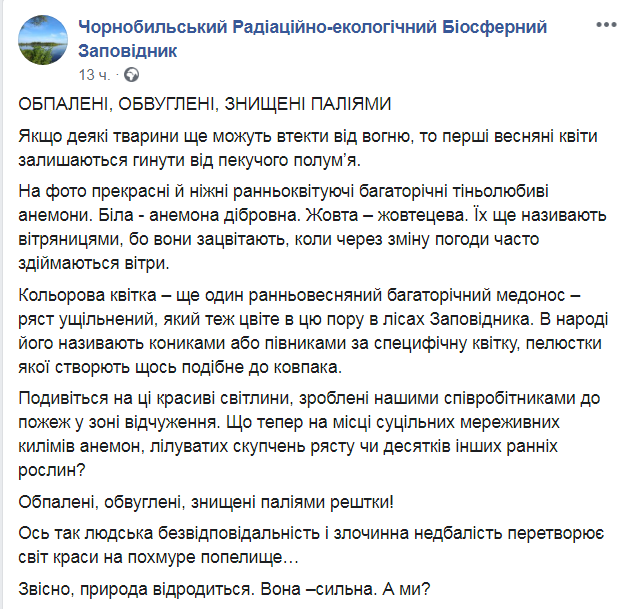 Скриншот из Facebook Чернобыльского заповедника