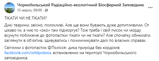 В Чернобыльском радиационно-экологическом биосферном заповеднике опубликовали фотографии диких животных