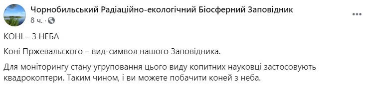 Лошади Пржевальского в Чернобыльском заповеднике. Фото: Чернобыльский заповедник