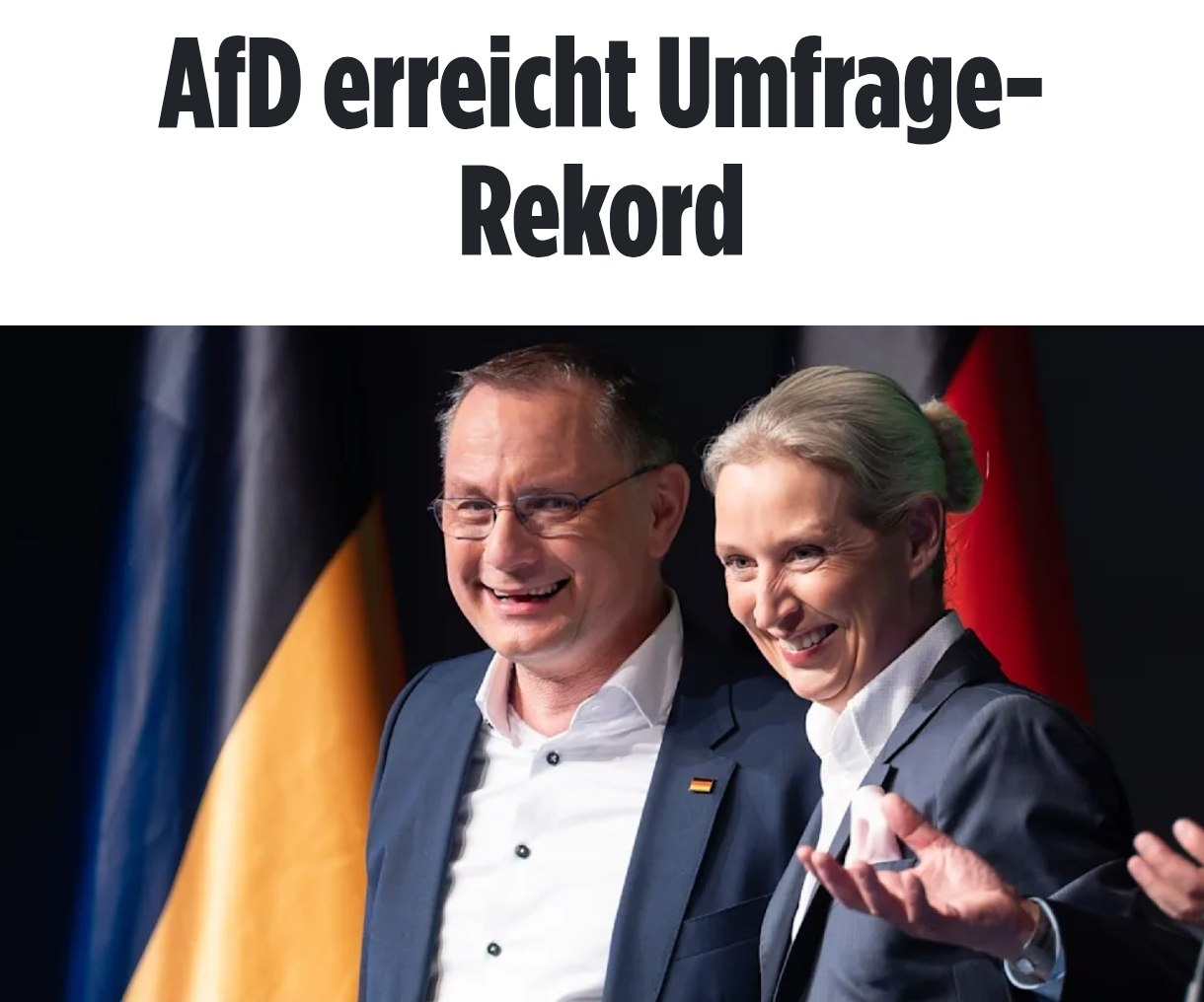 Снимок заголовка на bild.de – Альтернатива для Германии опередила партию Мерца в опросах за апрель